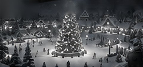 La place du Sapin et son grand sapin illuminé